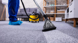 Human Cleaning Carpet In The Living Room Using Vacuum Cleaner At Home