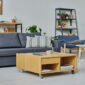 Modern living room with coffee table in the middle and comfortable sofa