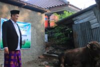 Semangat Iduladha! Pemkab Pemalang Bagikan 16 Hewan Qurban