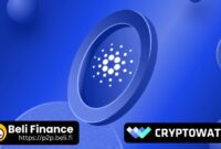 Beli Finance X Cryptowatch (Sumber: VRITIMES.com)