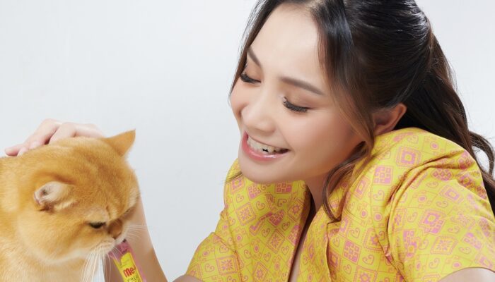 Cara Nagita Slavina Menciptakan Bonding yang Kuat dengan Kucing-kucing Kesayangannya