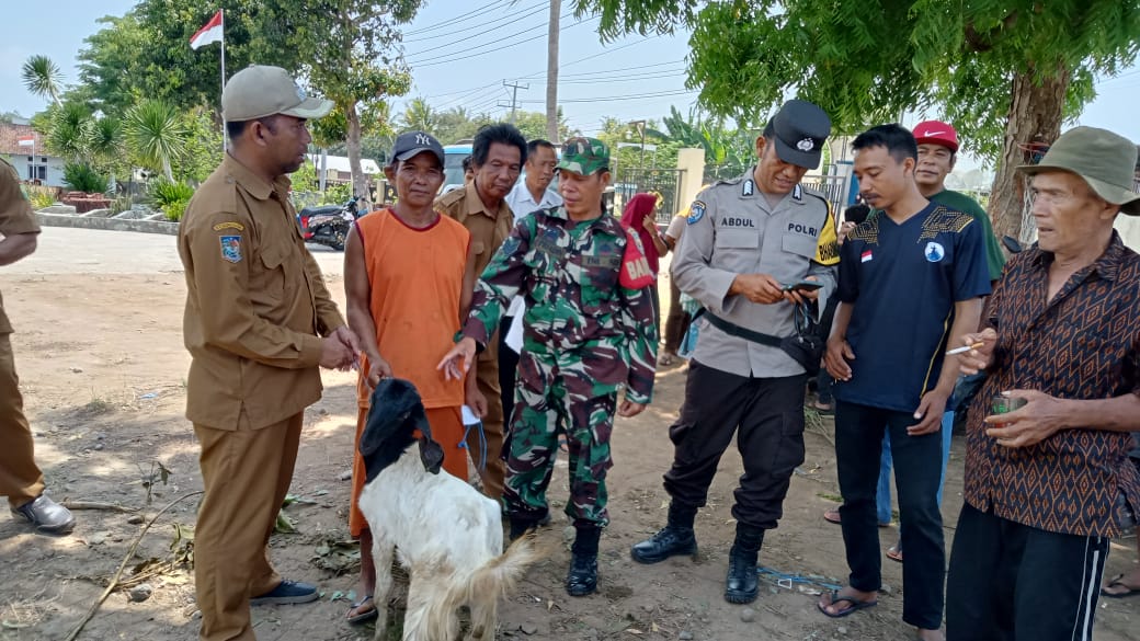 Babinsa Desa Labangka Dampingi Pembagian Kambing untuk Warga Program Ketahanan Pangan