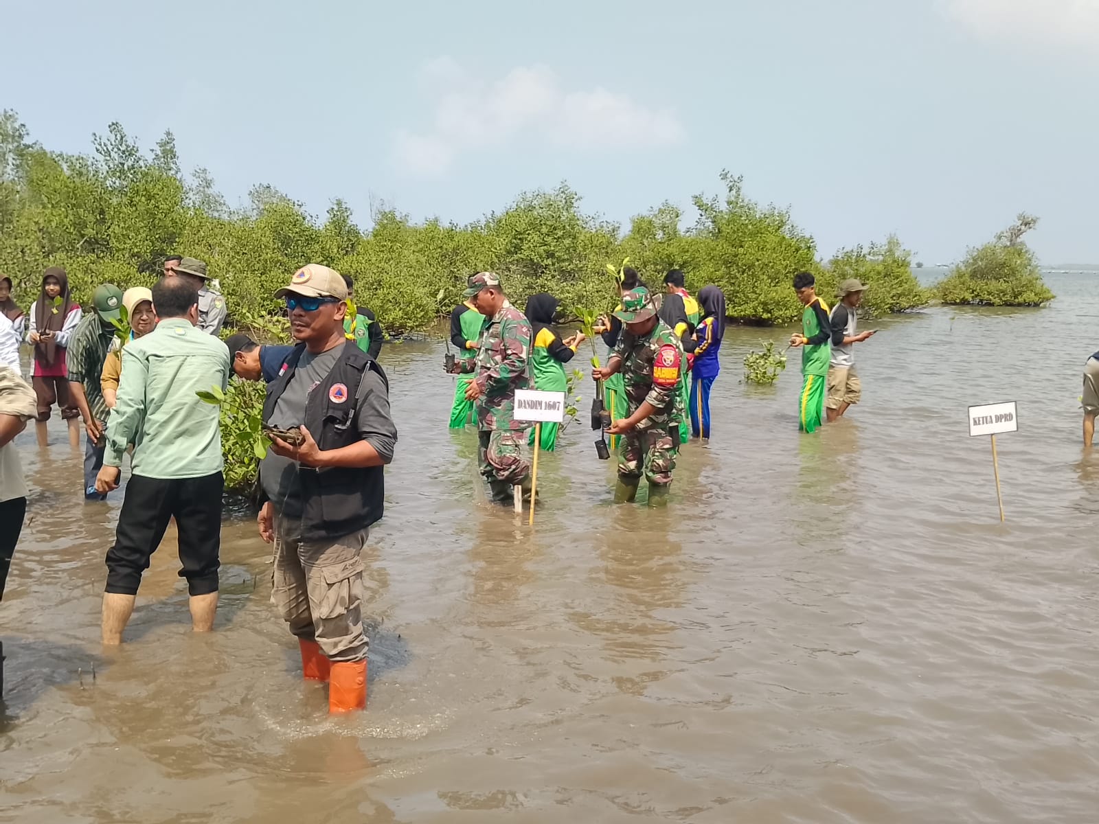 Dukung Pelestarian Pesisir, Danramil 04/Alas Ikut Berpartisipasi dalam Penanaman Mangrove