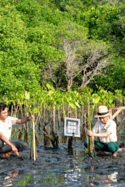Carbon Offset Diuji Relevansinya, Ini Tanggapan Para Ahli