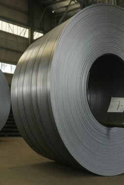 Dukung Investasi Delong Steel, Krakatau Steel Group Siapkan Lahan Lebih Dari 500 Hektar di Cilegon