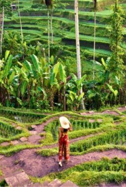 Rahasia Bali Jadi Ikon Pariwisata Berkualitas yang Mendunia!