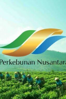 Holding Perkebunan Nusantara Dorong Produk Bernilai Tinggi, Teh Malabar PTPN I Tembus Pasar Premium