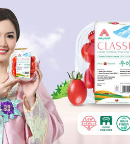 Stevia: Pemanis Masa Depan yang Sedang Diadopsi Produk Premium