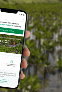 LindungiHutan Rilis Tampilan Baru Web Mobile: Menjawab Tren Digitalisasi Keberlanjutan