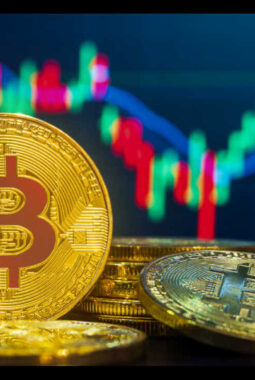 Pentingnya Strategi Bertahan Investor Aset Kripto Di Tengah Momen Depresiasi Bitcoin