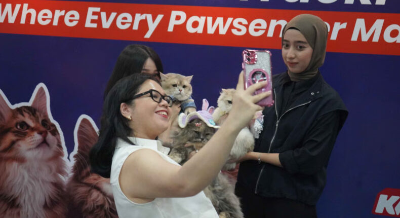 foto slider headline