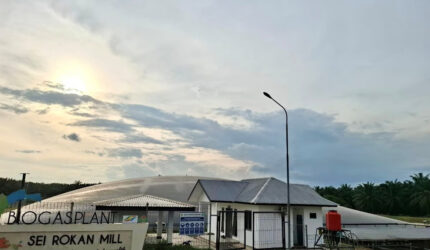 PTPN IV Regional III Resmikan PTBg Sei Rokan