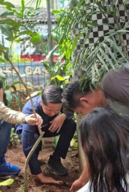 BRI BO Tanah Abang Region 6/Jakarta 1 Laksanakan Aksi Sosial Penanaman Pohon di RPTRA Kampung Bali