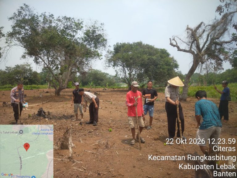 Polsek Rangkasbitung Polres Lebak Bersama Warga Desa Citeras Tanam Jagung Hibrida Kuartal III 2026,Sukseskan Program Ketahanan Pangan